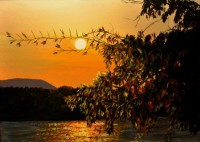 /album/fenykepgaleria/olelo-karjaidban-jpg/